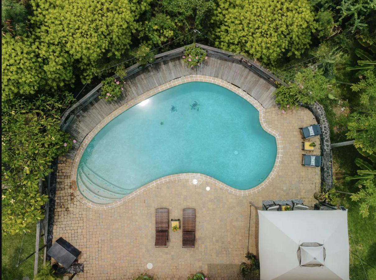 Апартаменты The Koi House With Pool Каилуа-Кона Экстерьер фото